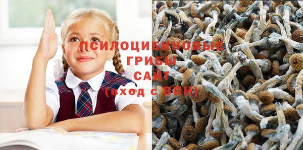 амф Горнозаводск