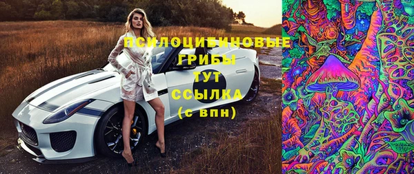 мяу мяу мука Горно-Алтайск