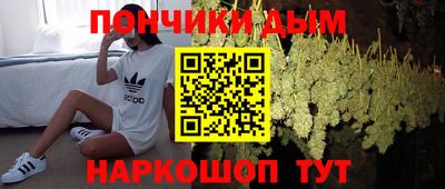 амф Камышлов