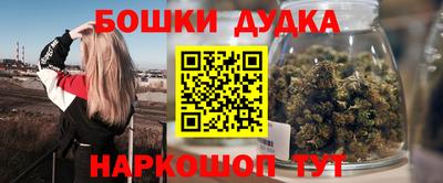 индика Кандалакша