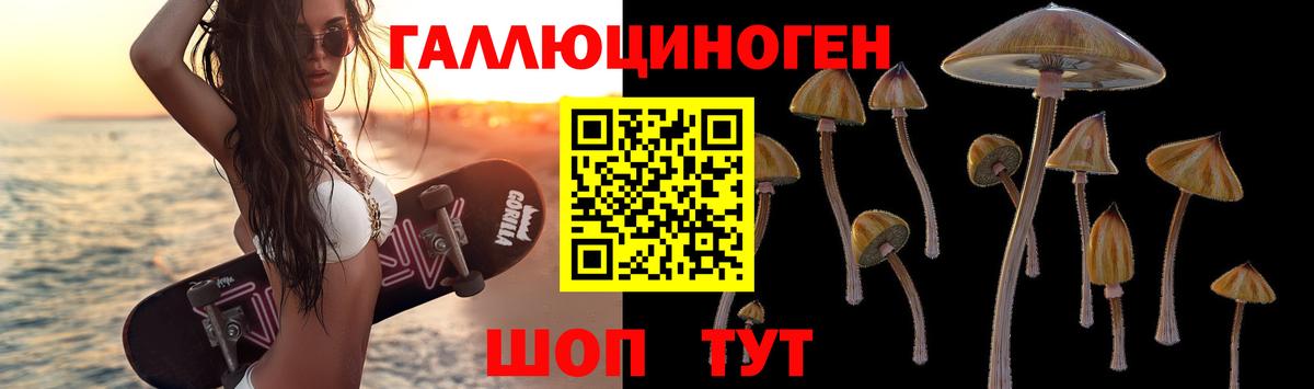 Миллерово  Псилоцибиновые грибы Psilocybine cubensis  Вход с VPN 